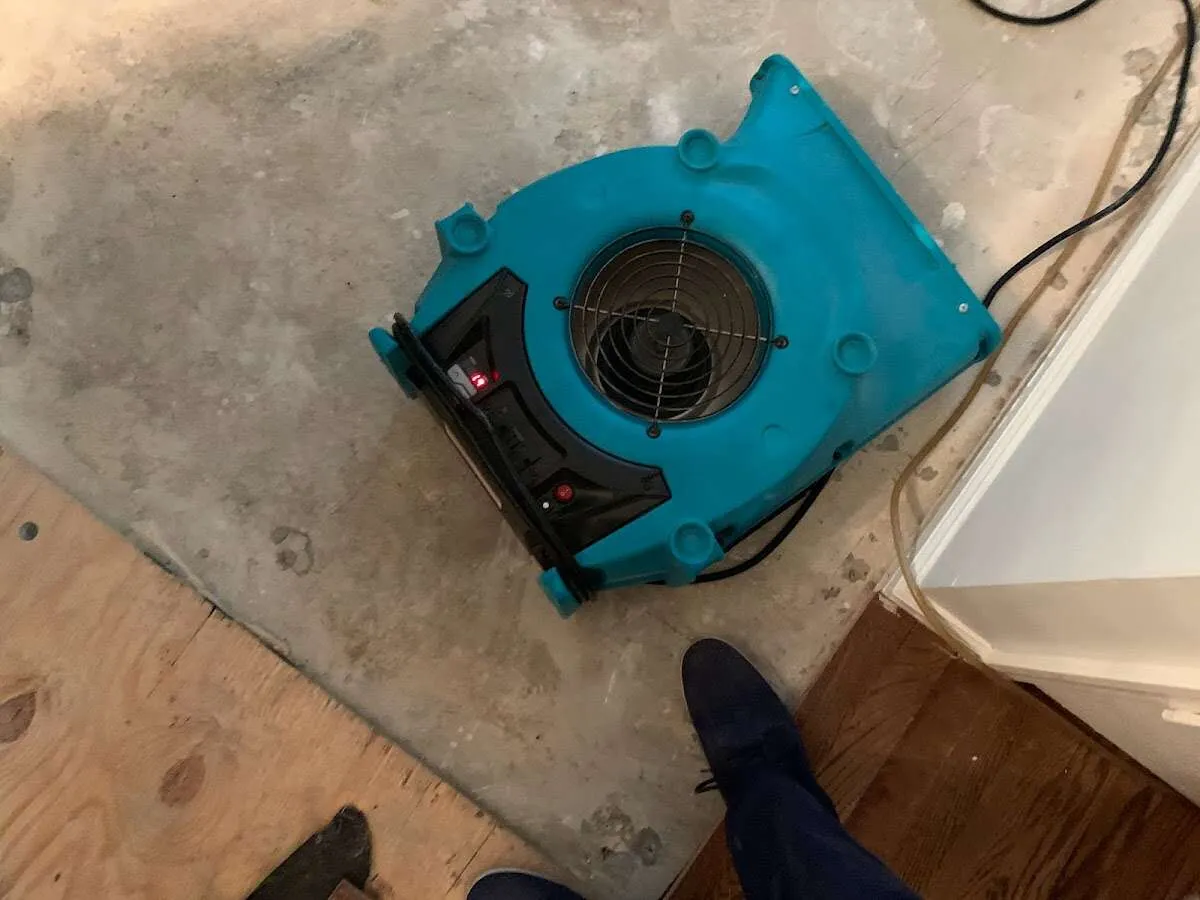 Air mover drying subfloor during Commercial Water Damage Restoration in North Madison